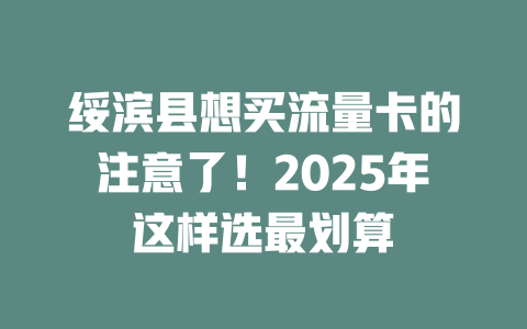 绥滨县想买流量卡的注意了！2025年这样选最划算