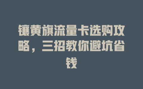 镶黄旗流量卡选购攻略，三招教你避坑省钱