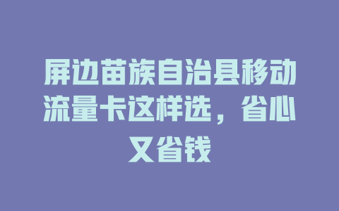 屏边苗族自治县移动流量卡这样选，省心又省钱