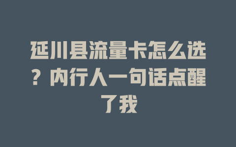 延川县流量卡怎么选？内行人一句话点醒了我