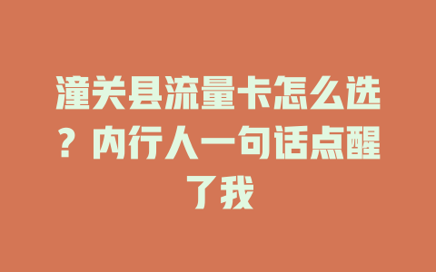 潼关县流量卡怎么选？内行人一句话点醒了我
