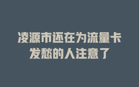 凌源市还在为流量卡发愁的人注意了