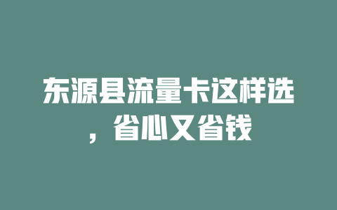 东源县流量卡这样选，省心又省钱