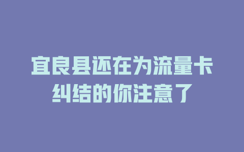 宜良县还在为流量卡纠结的你注意了