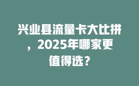 兴业县流量卡大比拼，2025年哪家更值得选？