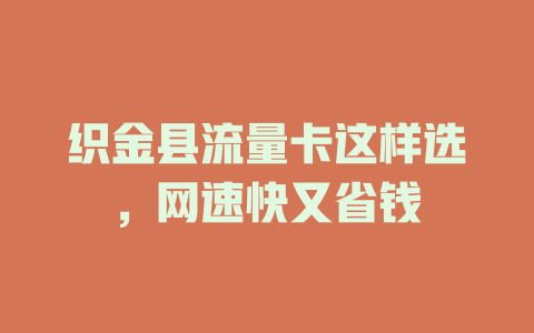 织金县流量卡这样选，网速快又省钱