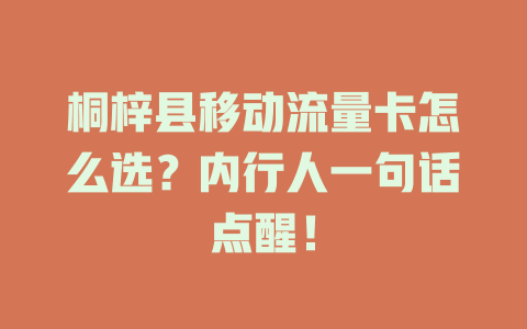 桐梓县移动流量卡怎么选？内行人一句话点醒！