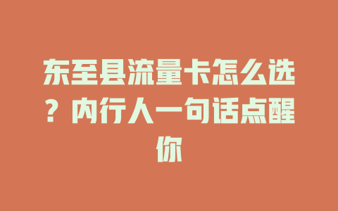 东至县流量卡怎么选？内行人一句话点醒你
