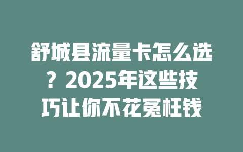 舒城县流量卡怎么选？2025年这些技巧让你不花冤枉钱