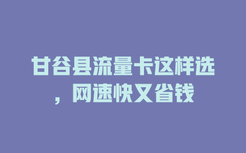 甘谷县流量卡这样选，网速快又省钱