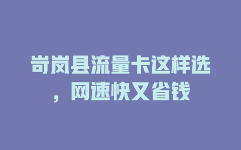 岢岚县流量卡这样选，网速快又省钱