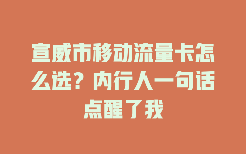 宣威市移动流量卡怎么选？内行人一句话点醒了我