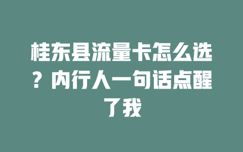 桂东县流量卡怎么选？内行人一句话点醒了我