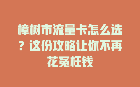 樟树市流量卡怎么选？这份攻略让你不再花冤枉钱