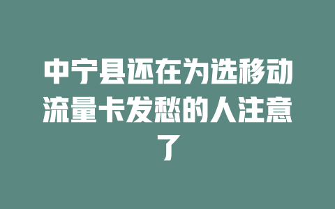 中宁县还在为选移动流量卡发愁的人注意了