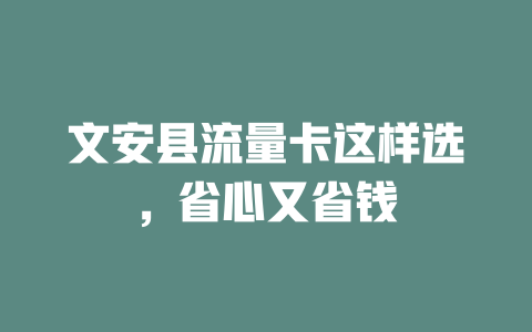 文安县流量卡这样选，省心又省钱