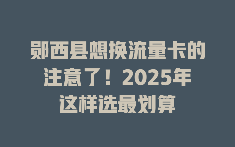 郧西县想换流量卡的注意了！2025年这样选最划算