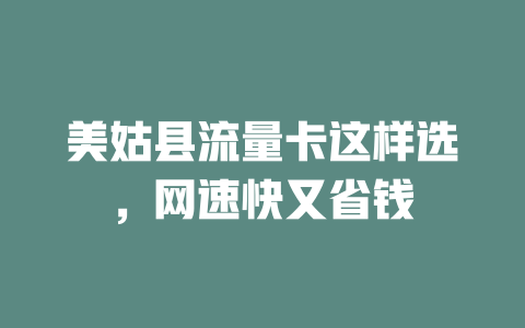 美姑县流量卡这样选，网速快又省钱