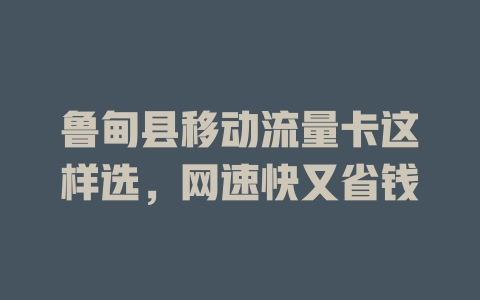 鲁甸县移动流量卡这样选，网速快又省钱