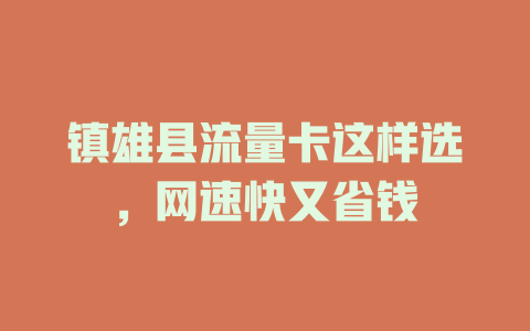 镇雄县流量卡这样选，网速快又省钱