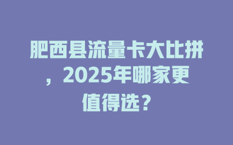 肥西县流量卡大比拼，2025年哪家更值得选？