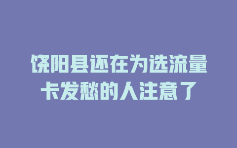 饶阳县还在为选流量卡发愁的人注意了
