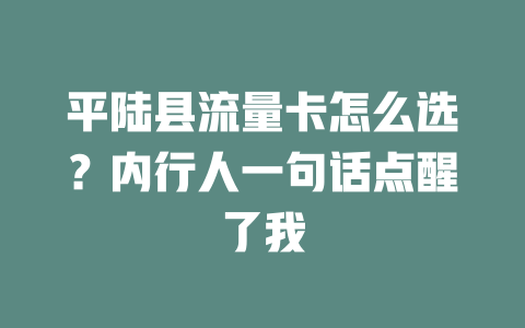 平陆县流量卡怎么选？内行人一句话点醒了我