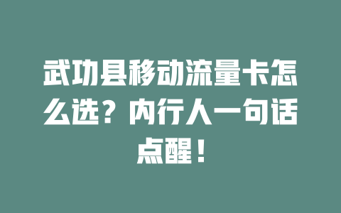 武功县移动流量卡怎么选？内行人一句话点醒！