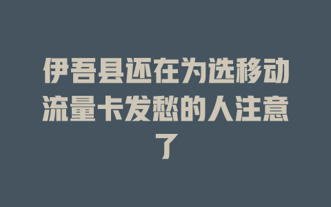 伊吾县还在为选移动流量卡发愁的人注意了