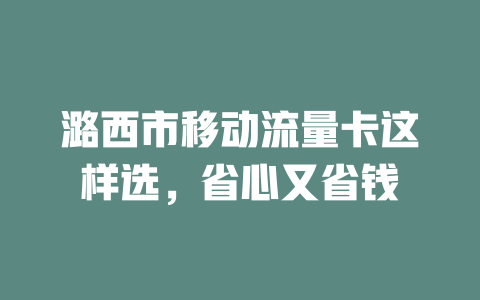 潞西市移动流量卡这样选，省心又省钱