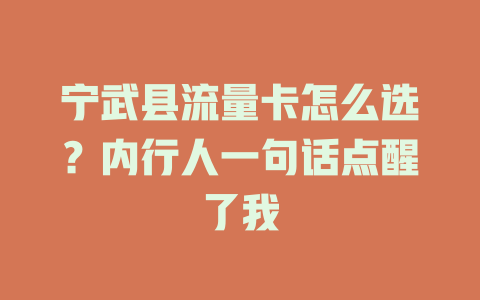 宁武县流量卡怎么选？内行人一句话点醒了我