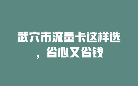 武穴市流量卡这样选，省心又省钱