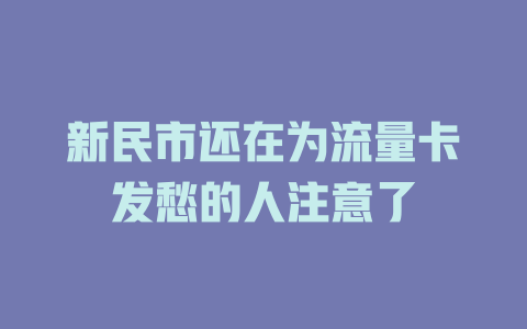 新民市还在为流量卡发愁的人注意了