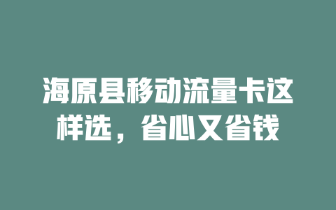 海原县移动流量卡这样选，省心又省钱