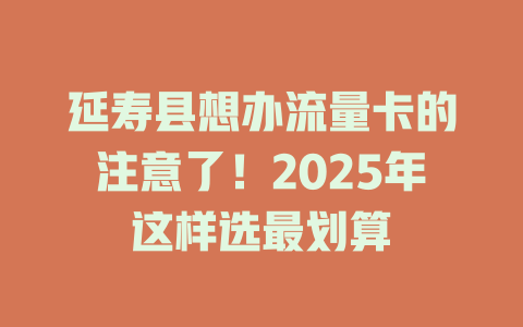 延寿县想办流量卡的注意了！2025年这样选最划算