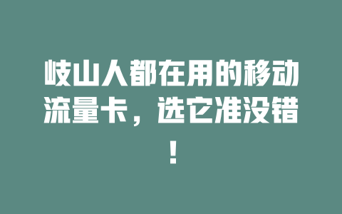 岐山人都在用的移动流量卡，选它准没错！