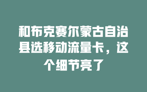 和布克赛尔蒙古自治县选移动流量卡，这个细节亮了