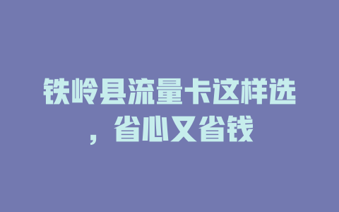 铁岭县流量卡这样选，省心又省钱