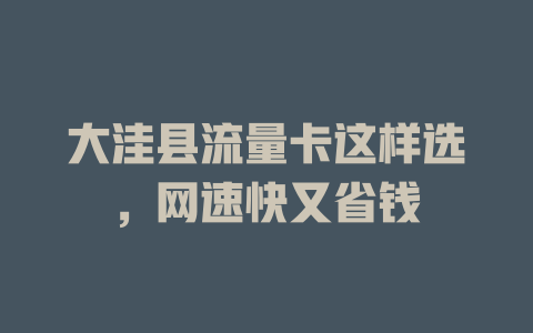 大洼县流量卡这样选，网速快又省钱