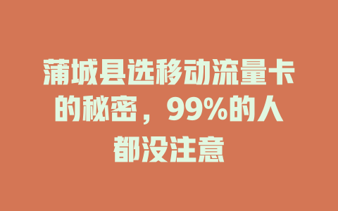 蒲城县选移动流量卡的秘密，99%的人都没注意