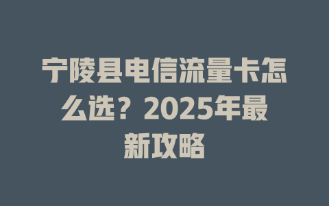 宁陵县电信流量卡怎么选？2025年最新攻略
