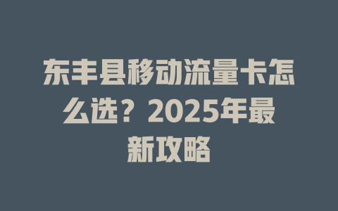 东丰县移动流量卡怎么选？2025年最新攻略