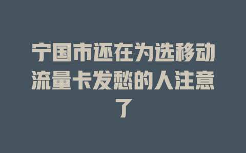 宁国市还在为选移动流量卡发愁的人注意了