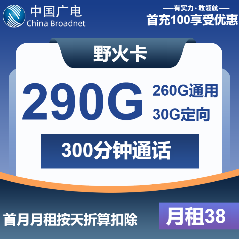 广电野火卡38元/月：290G流量+300分钟通话（长期套餐）
