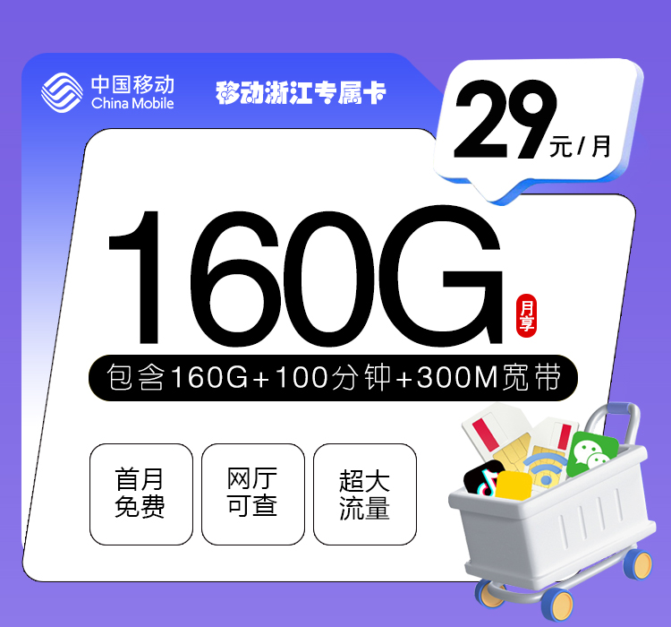 移动浙江专属卡29元/月：160G流量+100分钟通话+300M宽带（仅发浙江省内）