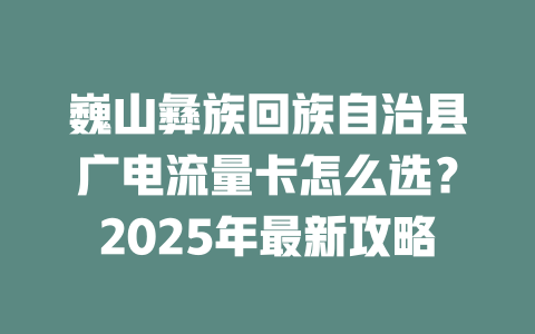 巍山彝族回族自治县广电流量卡怎么选？2025年最新攻略