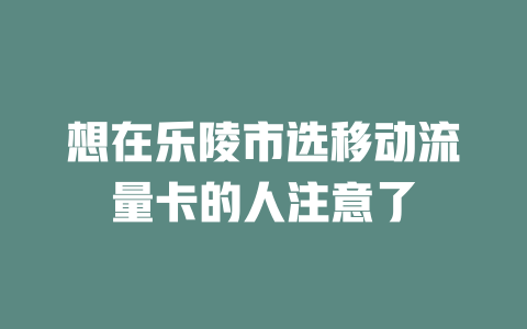 想在乐陵市选移动流量卡的人注意了
