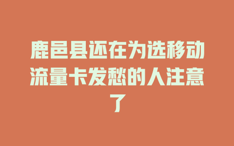 鹿邑县还在为选移动流量卡发愁的人注意了