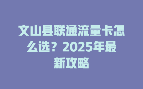 文山县联通流量卡怎么选？2025年最新攻略