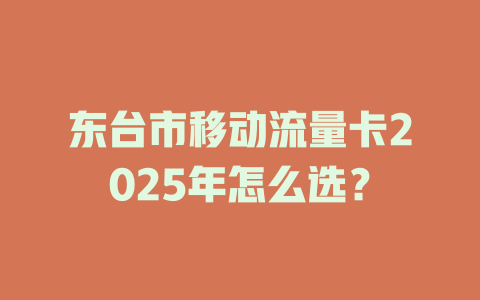 东台市移动流量卡2025年怎么选？